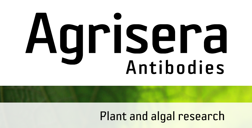 Agrisera MicroRNA相關(guān)研究植物蛋白抗體火熱促銷中！